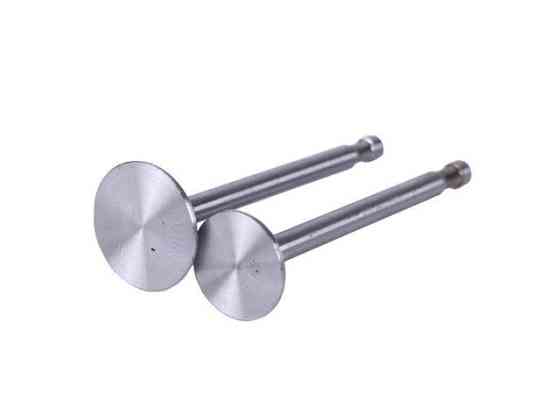 Клапаны на дизельный двигатель 180N, диаметр 7 мм, пара Мукачево