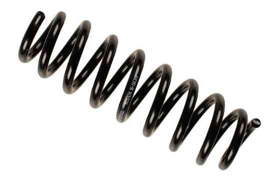 Пружина задня Raiso (Швеція) BMW 3 (E92), БМВ 3 (Е92) 05-11 #SR135TP UAJLRSR22 Ковель