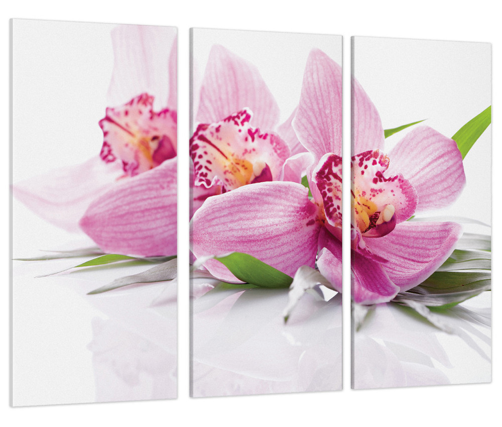 Модульна картина Квіти Art-61_XXL Київ - фото 1