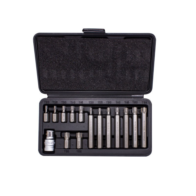 Набір біт 15пр. 1/2" Torx з бітотримачем (T20, T25, T30, T40, T45, T50, T55; L-75мм) Одеса - фото 2