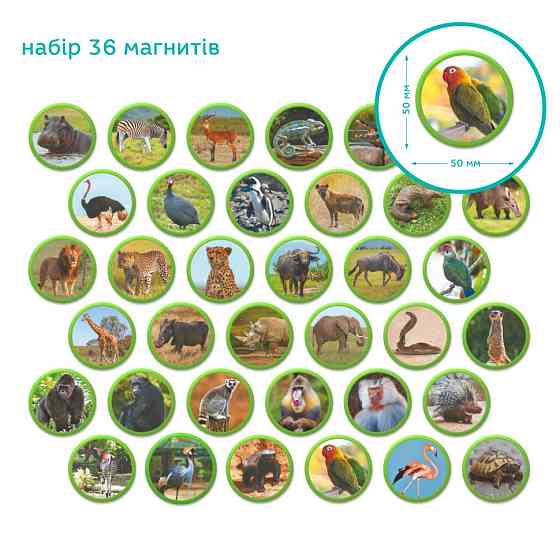 Дитячий магнітний набір Монтесорі "Тварини на континентах: Африка" 200284, 36 елементів Вінниця