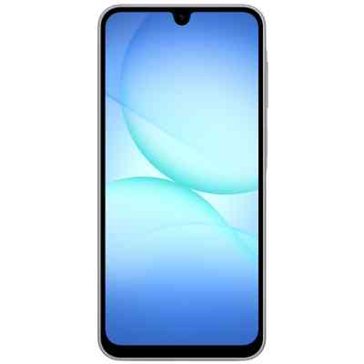 Мобильный телефон Samsung Galaxy A17 LTE 8/256Gb Gray (SM-A175FZAEEUC) Винница