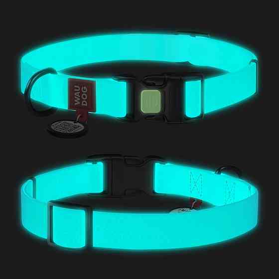 Ошейник для собак водостойкий WAUDOG Waterproof c QR паспортом, светонакопительный, пластиковая пряжка-фастекс, Ш 25 мм, Длинна 34-49 см Киев