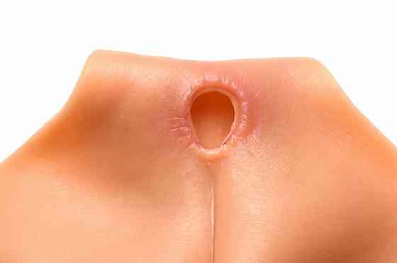 Накладная вагина Master Series Silicone Vagina + Butt Panties - Large Sex Aura Киев