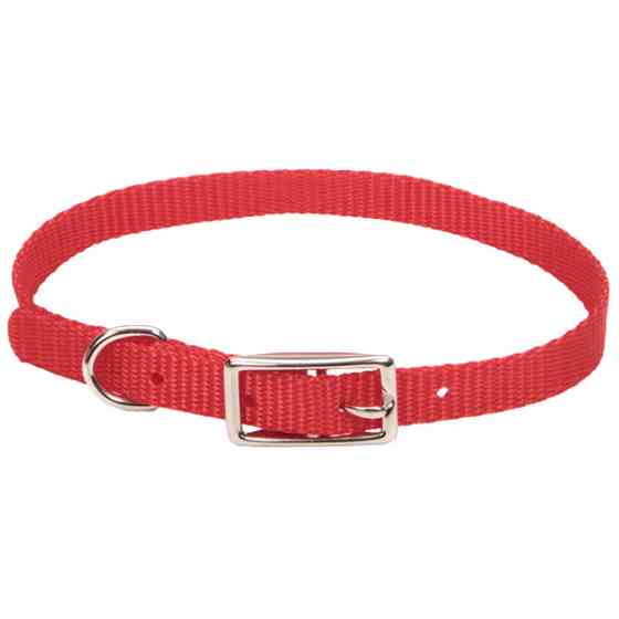 Coastal Nylon Web КОСТАЛ НАЙЛОН ВЕБ ошейник для собак,1х30см Киев