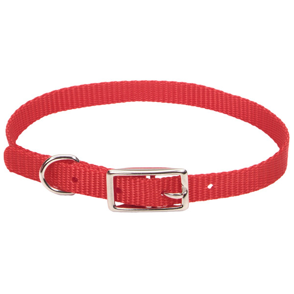 Coastal Nylon Web КОСТАЛ НАЙЛОН ВЕБ ошейник для собак,1х30см Киев - изображение 1