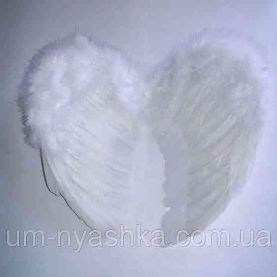 Комплект Ангела крылья Ангела с перьями 55*35 + нимб Кривой Рог