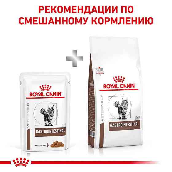 Royal Canin Gastrointestinal (Роял Канін Гастро Інтестинал) вологий корм для кішок для системи травлення 0.085 кг. х 12 шт. Запоріжжя