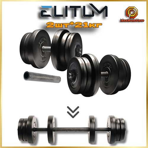 Гантелі Elitum 2х21 кг з подовжувачем грифа для штанги, набірні, для дому та зали Київ - фото 1
