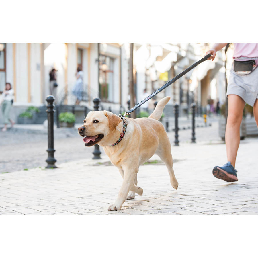 Нашийник для собак шкіряний WAUDOG Design з QR-паспортом, малюнок "Пончики", Ш 25 мм, Д 38-49 см чорний Вінниця - фото 7