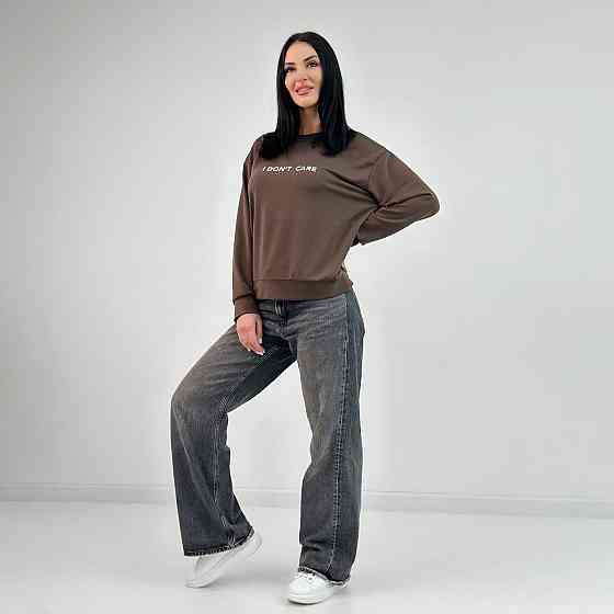 Женский свитшот из двунитки I don`t care батал Киев