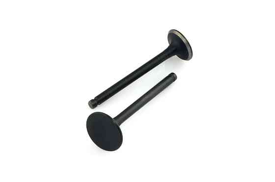 Клапани (пара, голі) Delta 70 ZUNA Київ