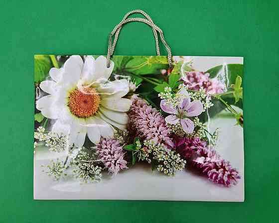 Бумажный большой горизонтальный пакет  36/22/10(артBG-086) (12 шт) Харьков