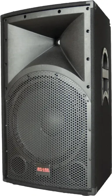 Колонка  Brass Tone Audio Kolumna estradowa BTX115 700W Київ - фото 1