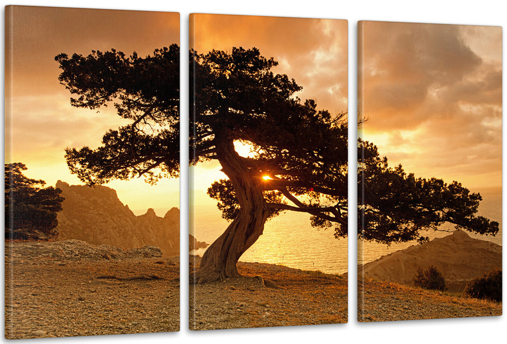 Модульная картина Природа Дерево Аrt-82_3А 70x130 см Киев - изображение 1