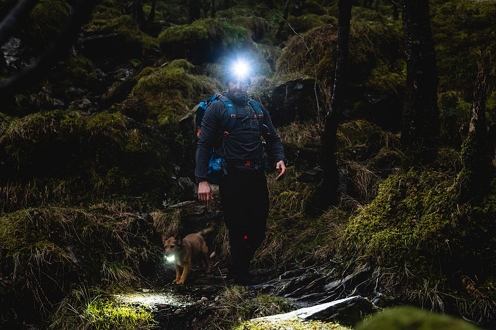Налобный фонарь Highlander Polaris 550 Rechargeable Head Torch Black (TOR195) Киев - изображение 5