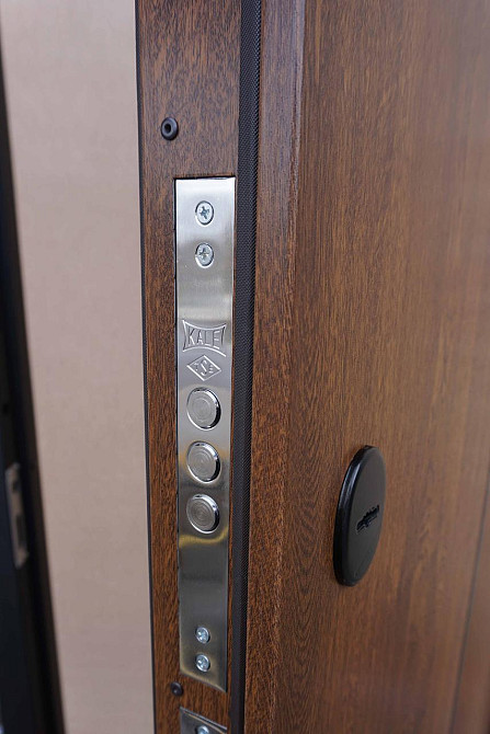 Дверь уличная модель Strimeх LAMA BAU, дуб темный. ГАРАНТИЯ на покрытие - 3 года! Киев - изображение 5