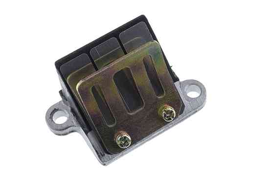 Пелюстковий клапан скутер Сузукі Адресс 50 Мукачево