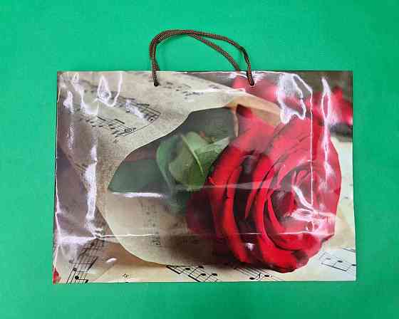 Паперовий великий горизонтальний пакет 36/22/10 (артBG-095) (12 шт.) Харків