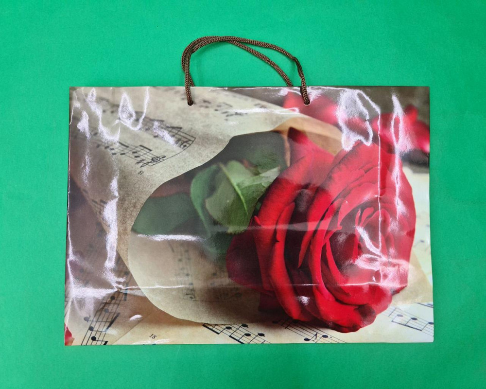 Паперовий великий горизонтальний пакет 36/22/10 (артBG-095) (12 шт.) Харків - фото 4