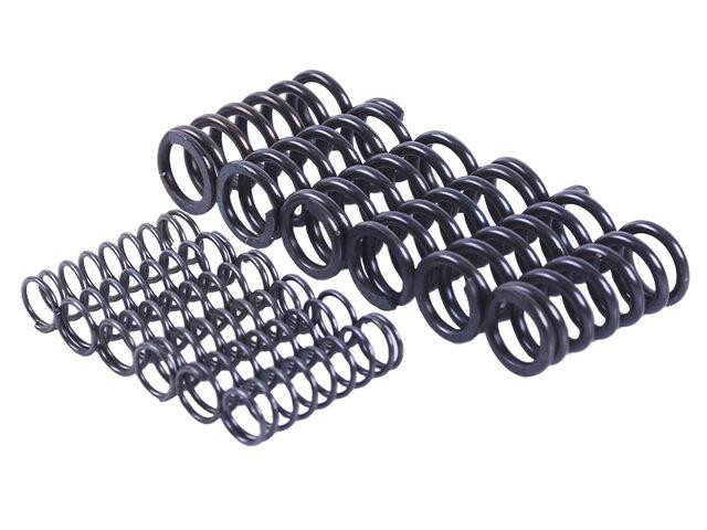 Пружини диска натискного, к-т: 12 шт. - MFC - Мукачево - фото 1