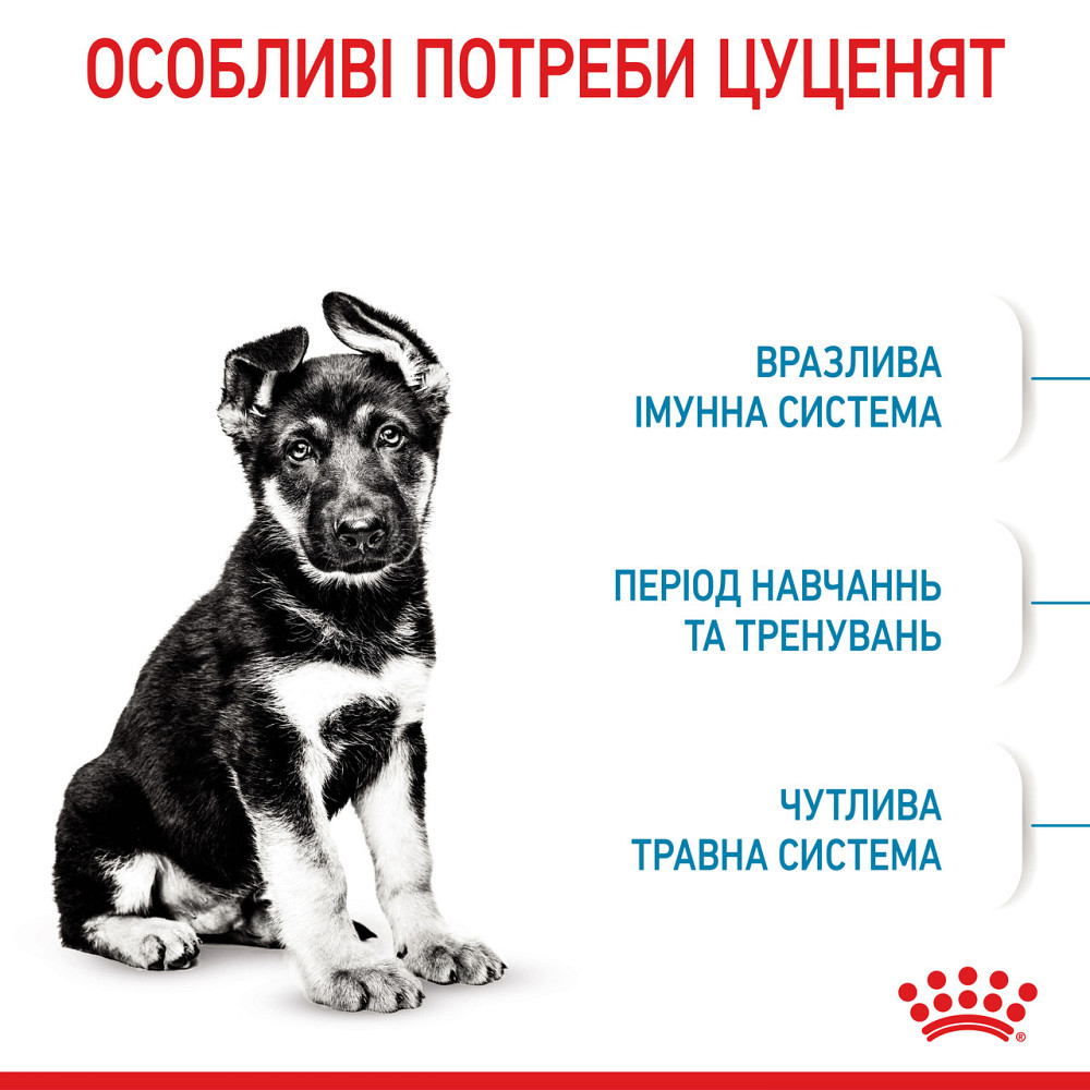 Корм для щенков больших пород собак ROYAL CANIN MAXI PUPPY 1.0 кг Киев - изображение 4