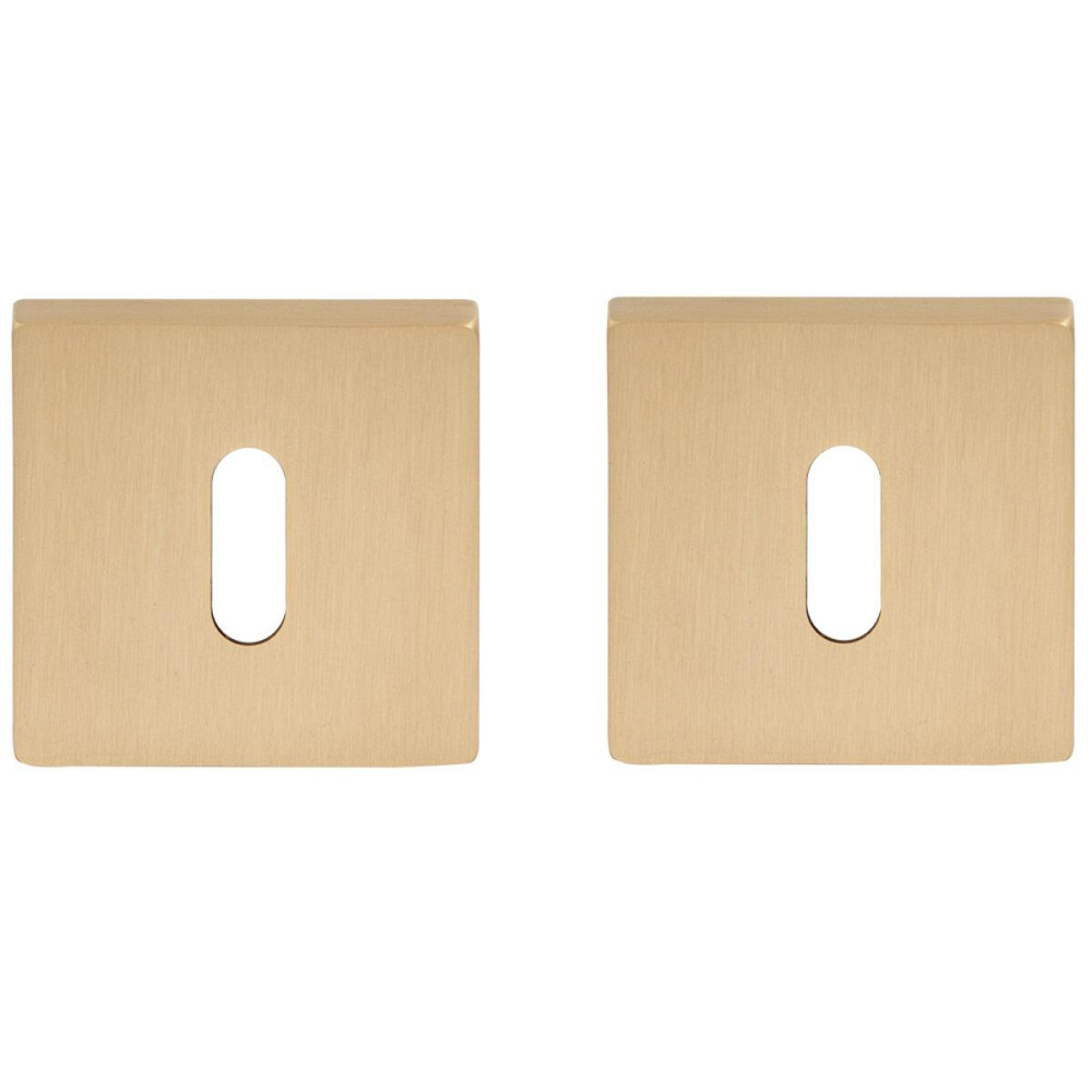 Накладка прор Mandelli (1161) Life мат.латунь Київ - фото 1