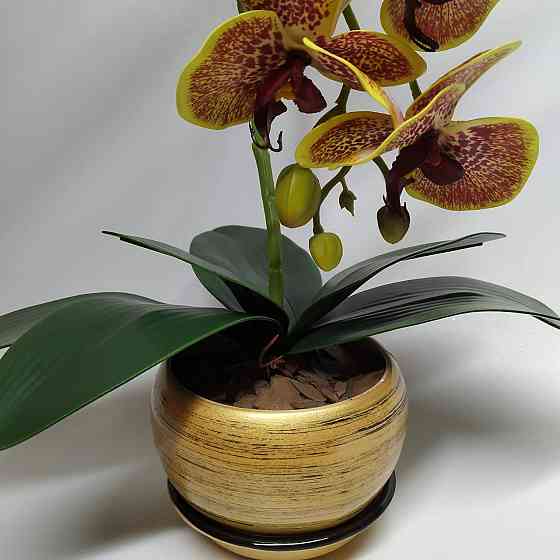 Штучна латексна орхідея VIP у жовтому керамічному кашпо на одну гілку жовто-червона. Дніпро