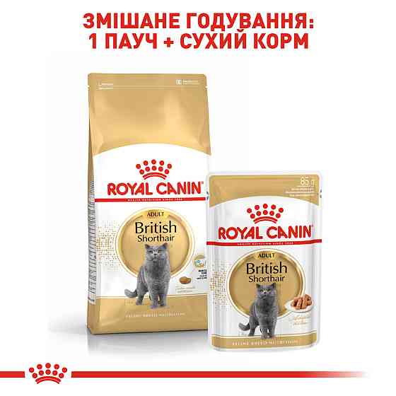 Вологий корм для дорослих котів ROYAL CANIN BRITISH SHORTHAIR ADULT 0.085 кг Київ