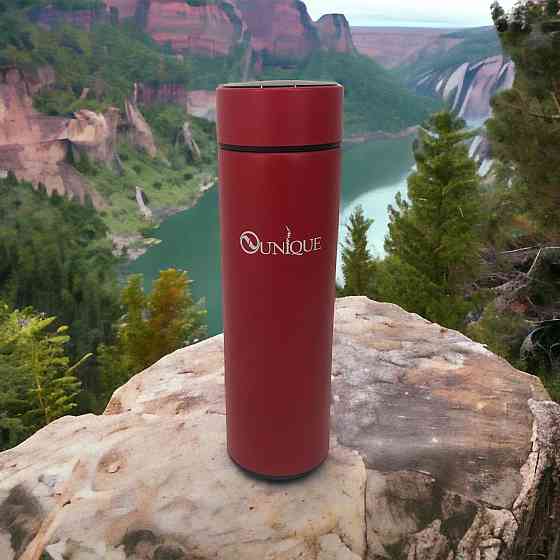 Термос с металлической колбой и ситечком, Термочашки для горячих напитков, Термокружка для чая WX-81 Львов