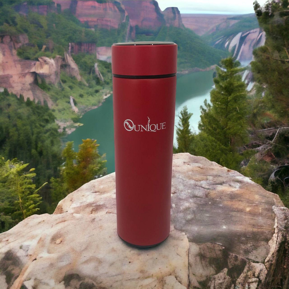 Термос с металлической колбой и ситечком, Термочашки для горячих напитков, Термокружка для чая WX-81 Львов - изображение 1