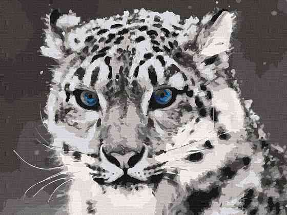 Картина за номерами. Art Craft "Синьоокий ірбіс" 40 * 50 см 11609-AC Вінниця