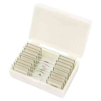 Набір мікропрепаратів Bresser високоякісних 10 шт (5984500) (931509) Вінниця