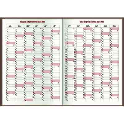 Тижневик Economix датований 2024 Spectrum, червоний А5 (E21849) Вінниця