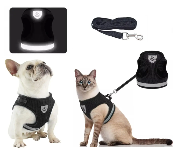 Светоотражающая шлея для собачек и кошек с поводком тканевая в сеточку S черный Киев