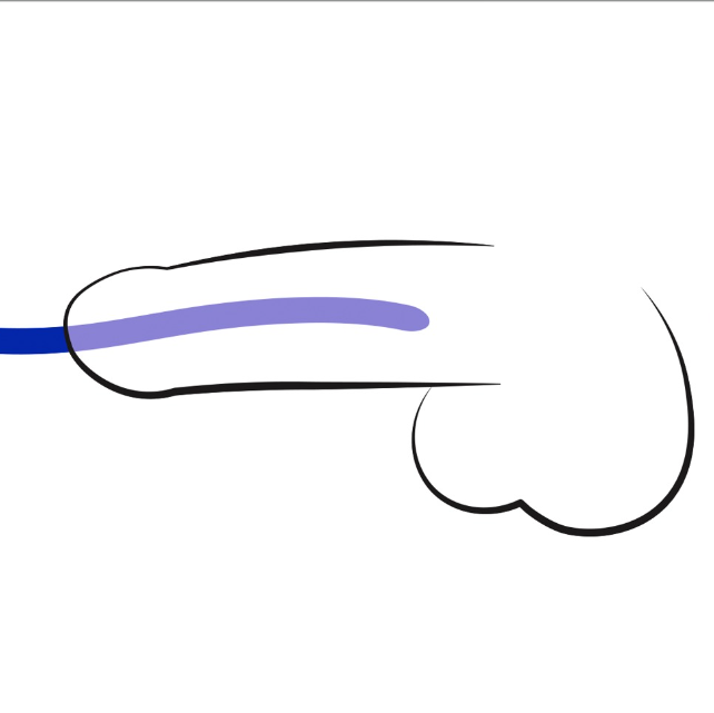 Набір уретральних стимуляторів Silikon Dilator 3er Set Sex Aura Київ - фото 4
