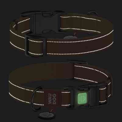 Нашийник для тварин WAUDOG Nylon Mono з QR паспортом, пластиковий фастекс XL помаранчевий (52164) Вінниця