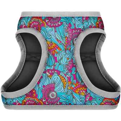 Шлей для собак WAUDOG Clothes с QR паспортом "Лето" XS1 (2970) Винница