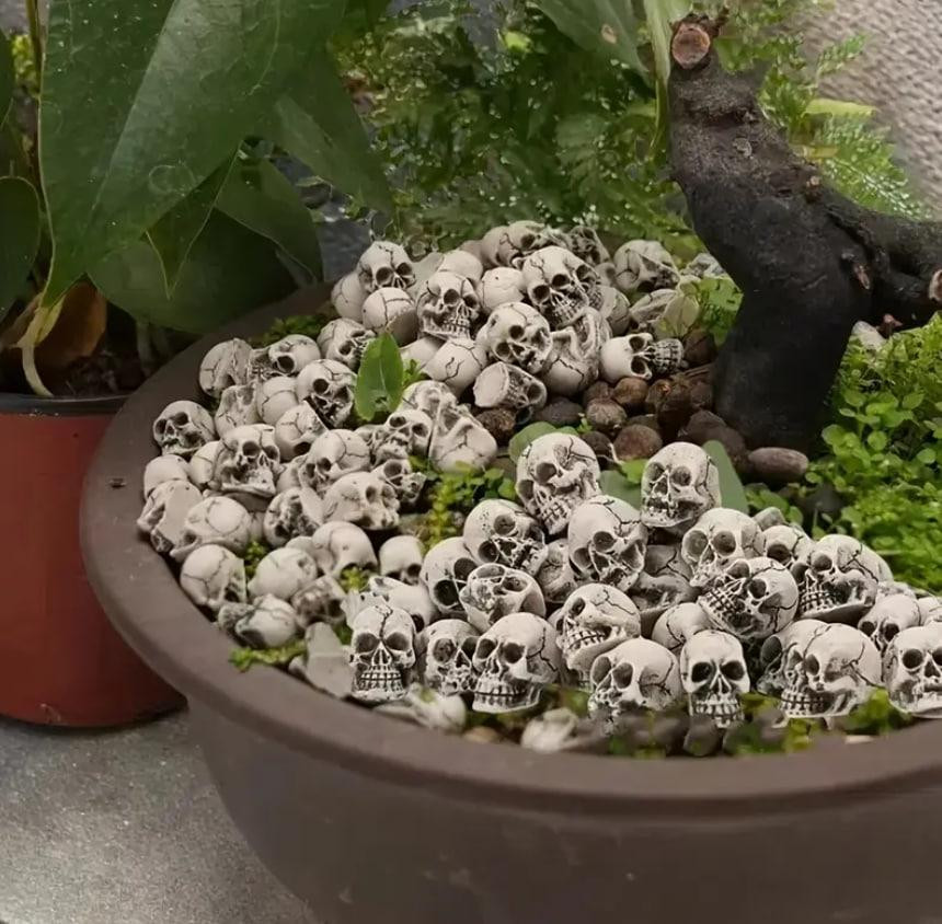 Уникальные декоративные фигурки черепов. Миниатюрные украшения черепа, фигурки для домашнего декора. Киев - изображение 1