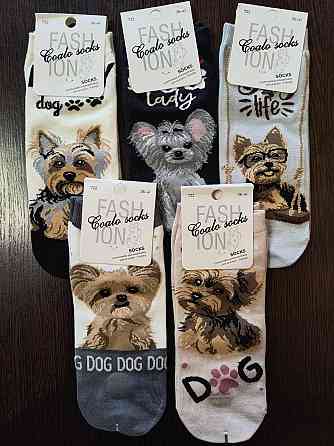 Шкарпетки жіночі із собачками. У наборі з 5 шт. Яскраві жіночі шкарпетки з приколами. Coalo socks. Розмір 36-41 Київ