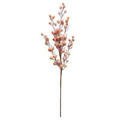 Декоративна гілка YES! Fun з осінніми ягодами, 68 см, засніжена (973932) Вінниця