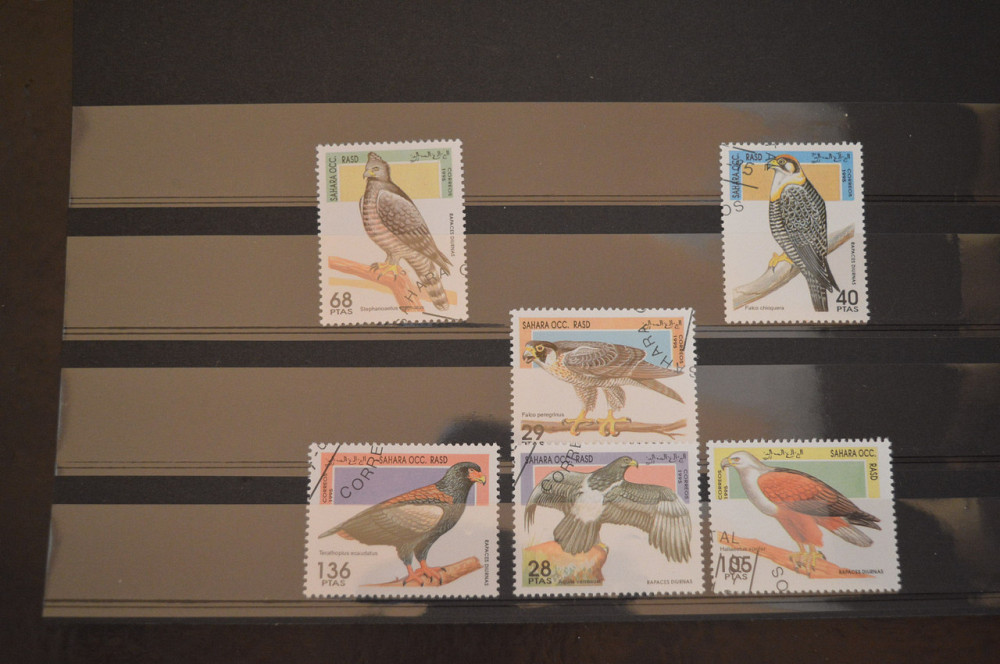 Марки. Серия. Сахара. (Гаш.) Полтава - фото 1