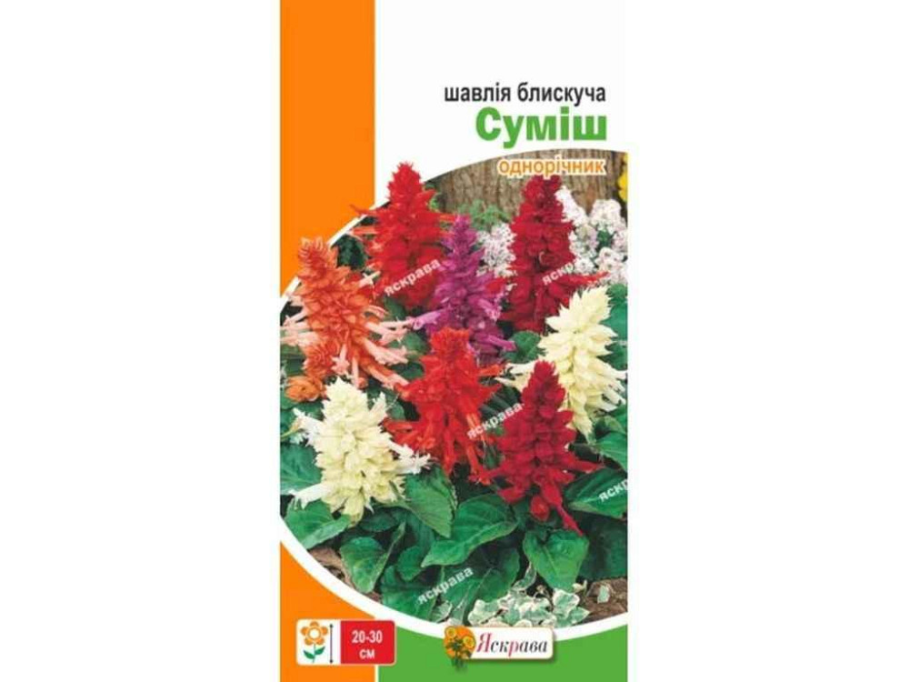 Шавлія низька блискуча Суміш (20 пачок) 0,2г ТМ ЯСКРАВА Київ - фото 1