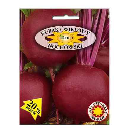 Семена Свекла Ноховский F1 (20 г) среднеранняя, Roltico Poland Винница
