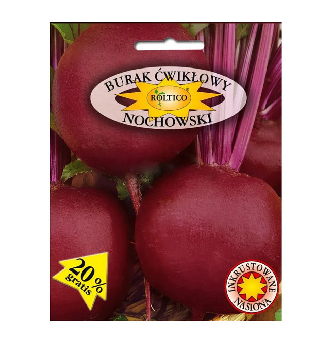 Семена Свекла Ноховский F1 (20 г) среднеранняя, Roltico Poland Винница - изображение 1