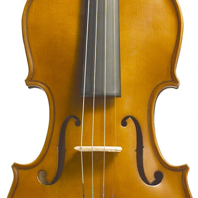 Скрипка Stentor Student I Violin Outfit 3/4 (1400C2) Винница - изображение 5