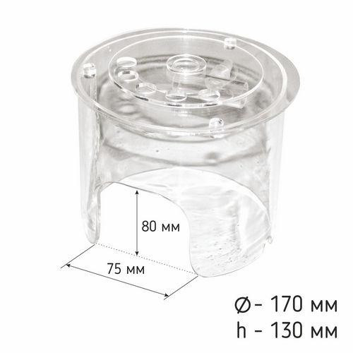 Шльопанці жіночі Жовтий CB4018 Дніпро - фото 1