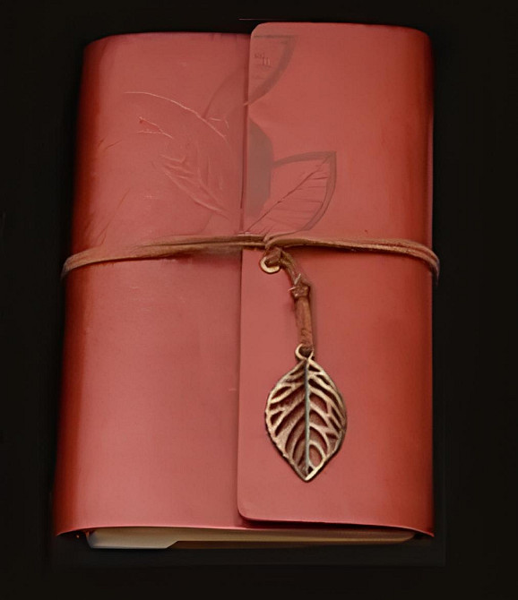 Подарунковий набір пір’яна ручка з чорнильницею RESTEQ — елегантний набір для письма та каліграфії Київ - фото 4