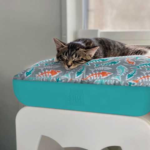 Jolly Pets Kitty Kasa Penthaus Bed (Джолли Петс Китти Каса Пентхаус Бед) кровать - лежак для котов Серо-Коричневый Запорожье - изображение 4