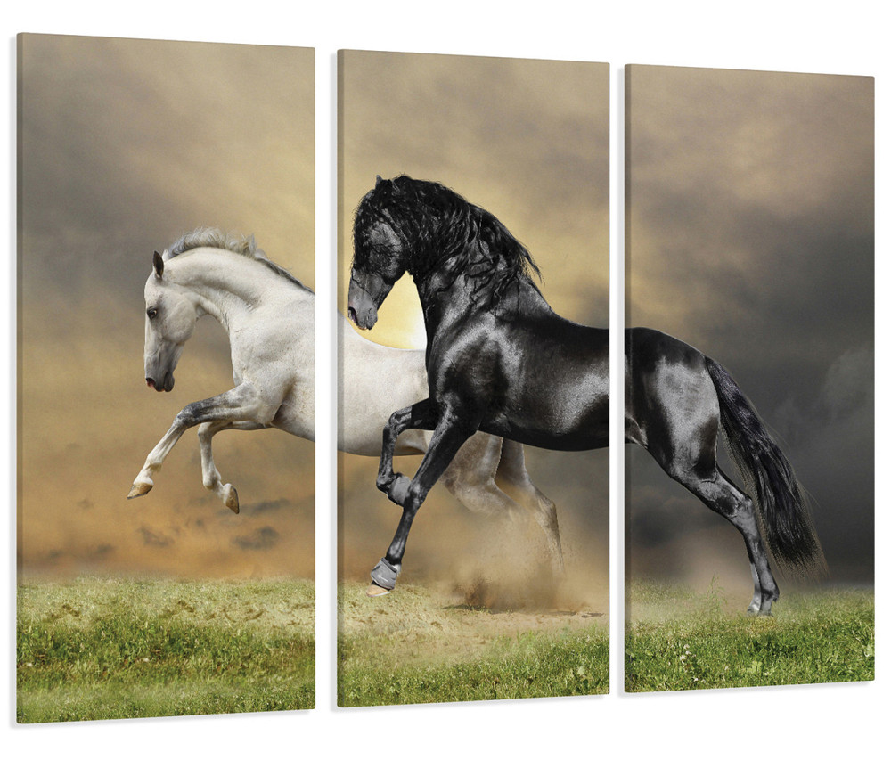 Модульна картина Коні Art-73_XXL Київ - фото 1